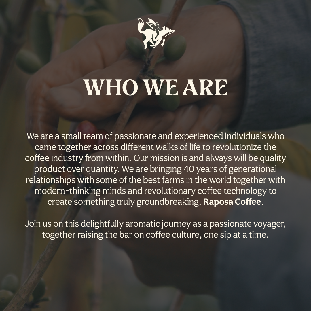 Sunrise Blend: Medium-Dark Roasted Whole Specialty Coffee Beans