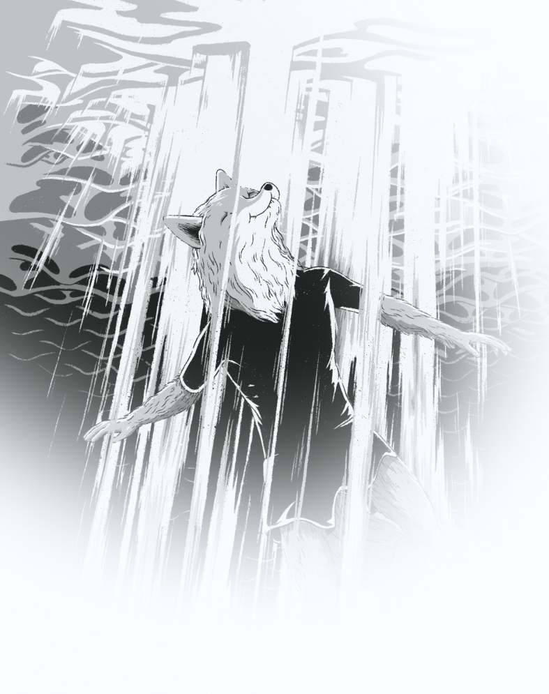 Gallery Background Image